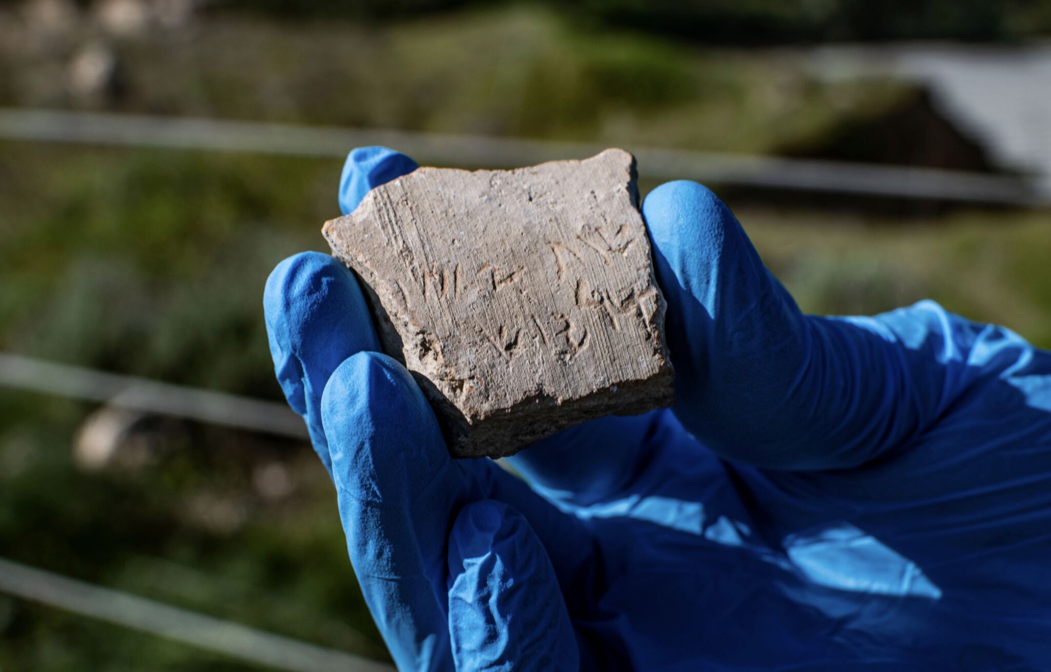 FirstEver Inscription Found in Israel With Name of Persian King Darius